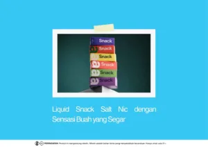Liquid SNACK Salt Nic